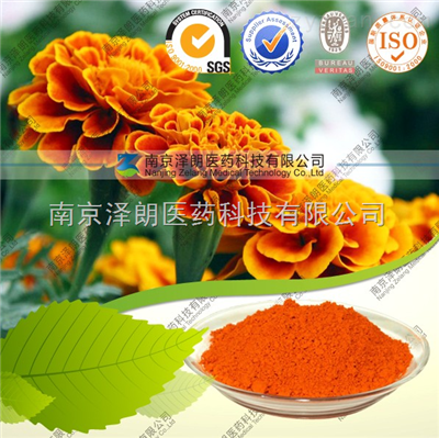 叶黄素10～90% 厂家供应 质量稳定